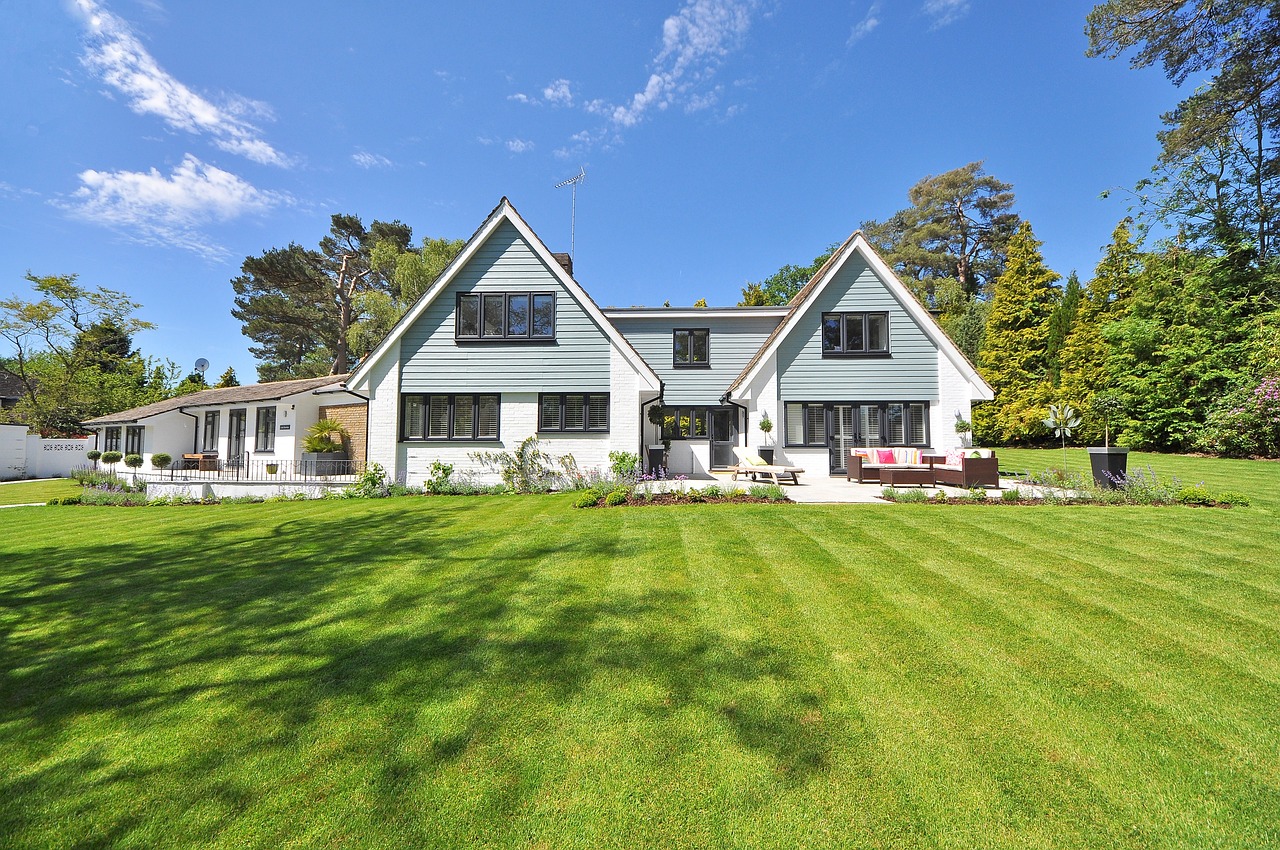 Why Every Home Should Have These Eco-Friendly Products